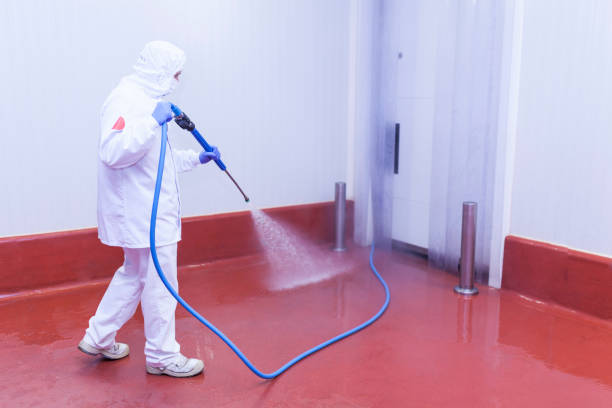 Best Rust Removal  in Inwood, NY
