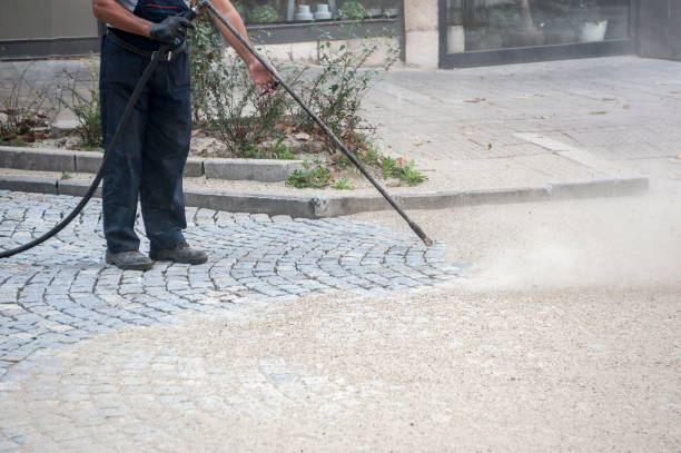 Best Animal Enclosure Cleaning  in Inwood, NY